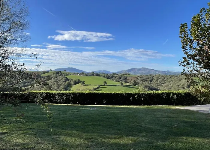 Pinchat 라배스타드클레렌스